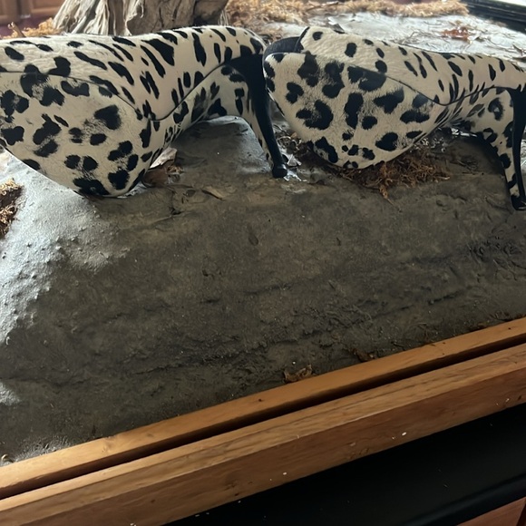 Dolce and Gabbana peep toe fur Dalmatian heels worn once - Picture 2 of 2